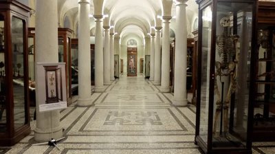 루이지 롤란도 인체 해부학 박물관(무제오 디 아나토미아 우마나 루이지 롤란도)